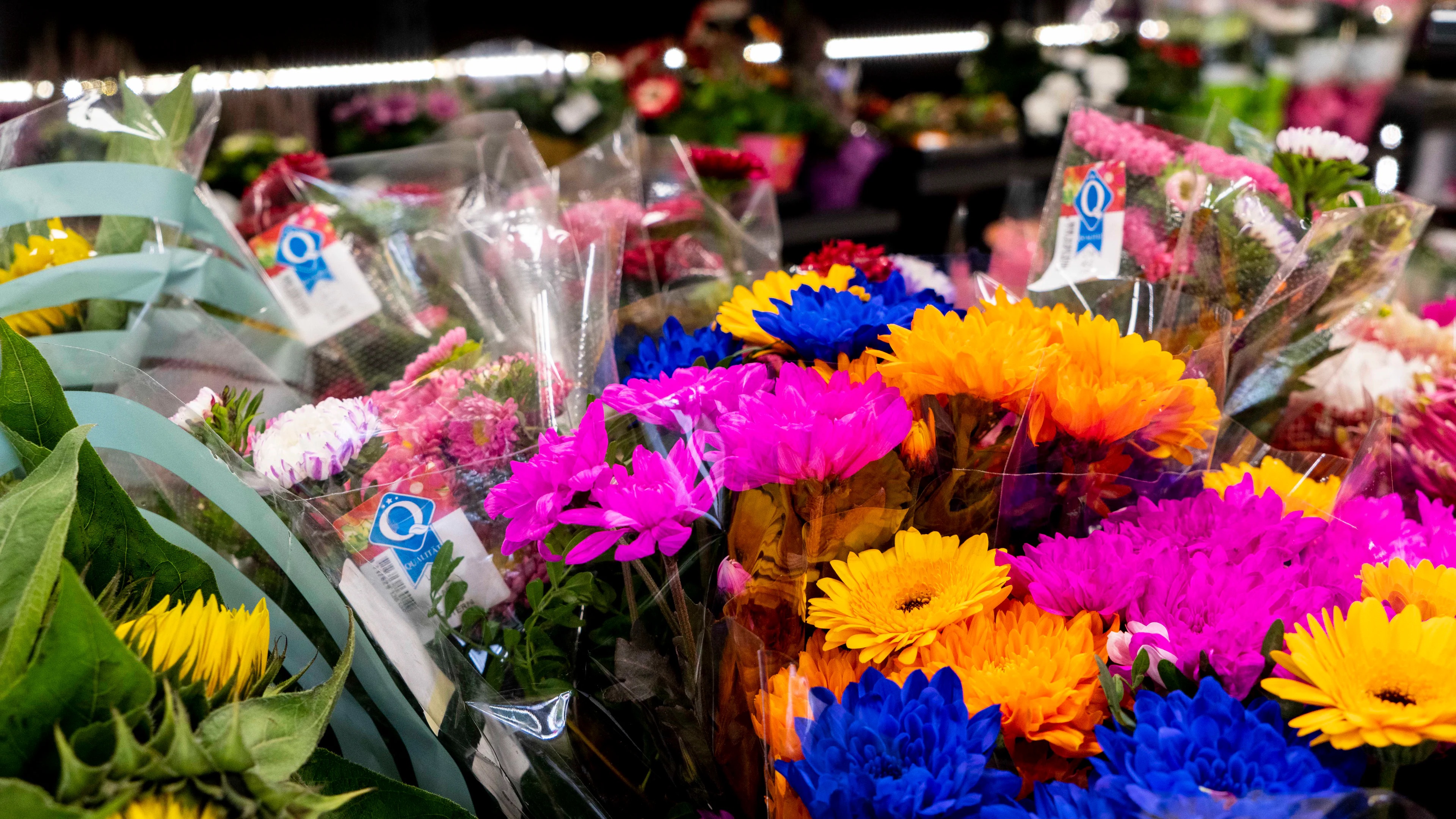 Verschiedene Blumen in einer Blumenabteilung.