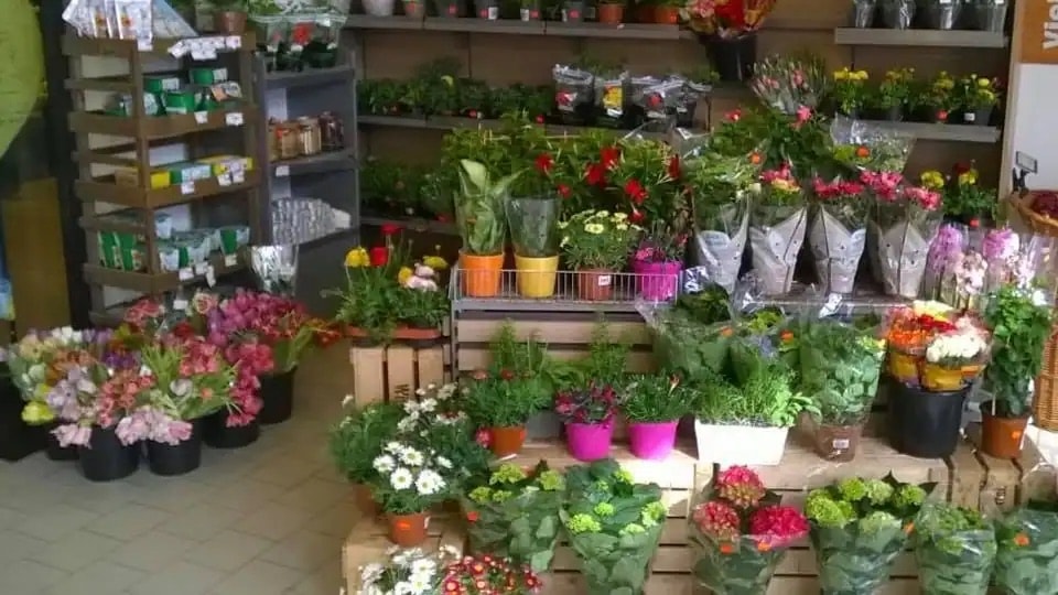 Verschiedene Regale und Tische mit Blumen in einem Blumenladen.