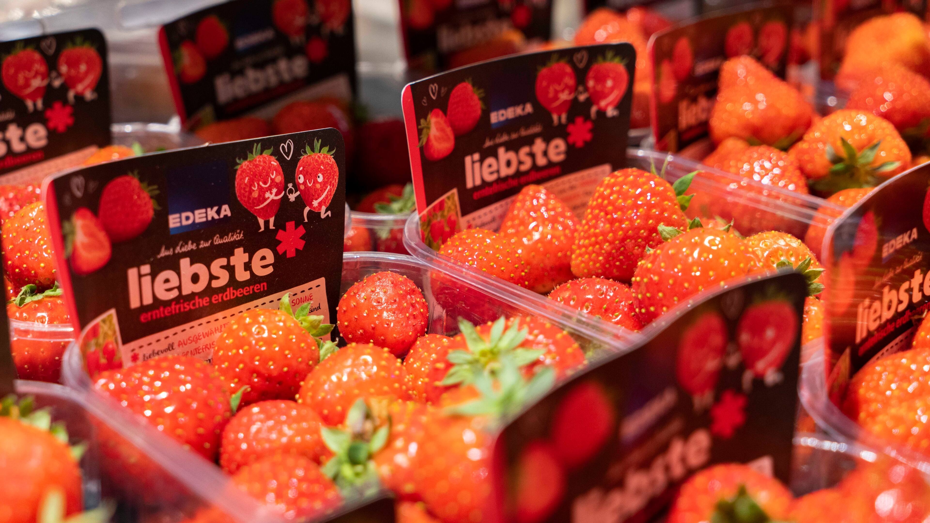 Nahaufnahme mehrerer Schalen voller Erdbeeren.