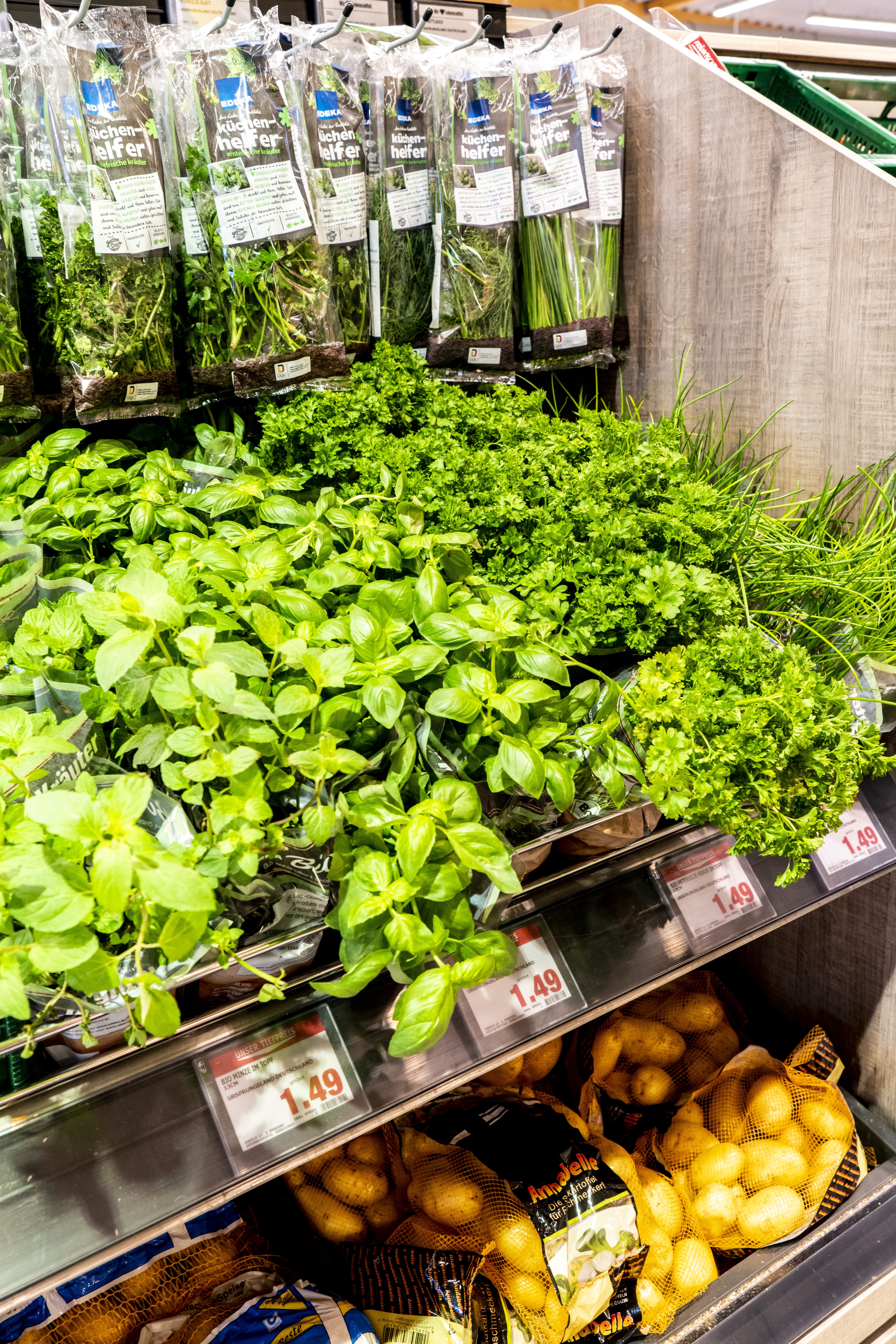 Grüne Küchenkräuter in der Gemüseabteilung eines EDEKA-Markts.