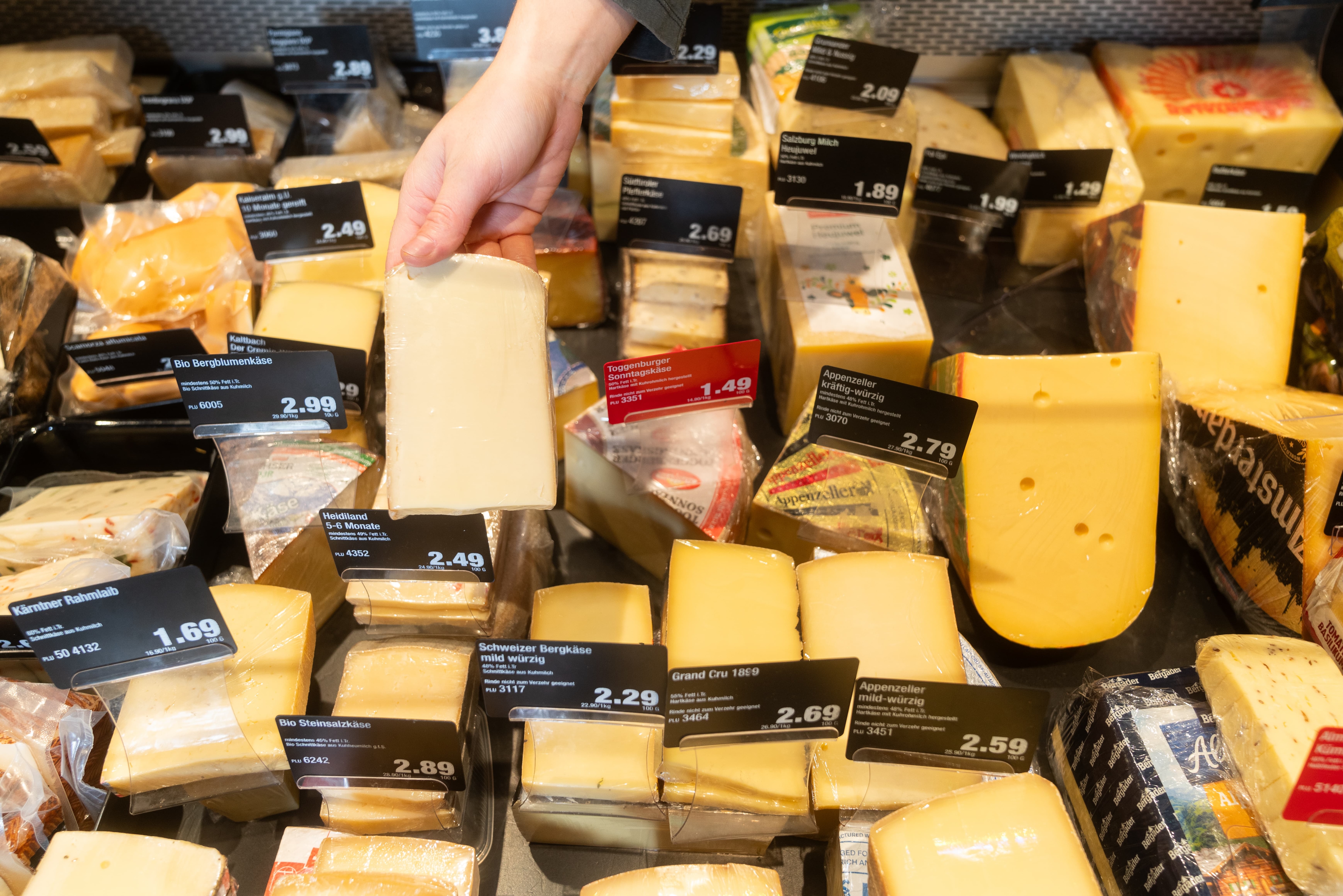 Verschiedene Käsesorten mit Preisschildern in einer Auslage.