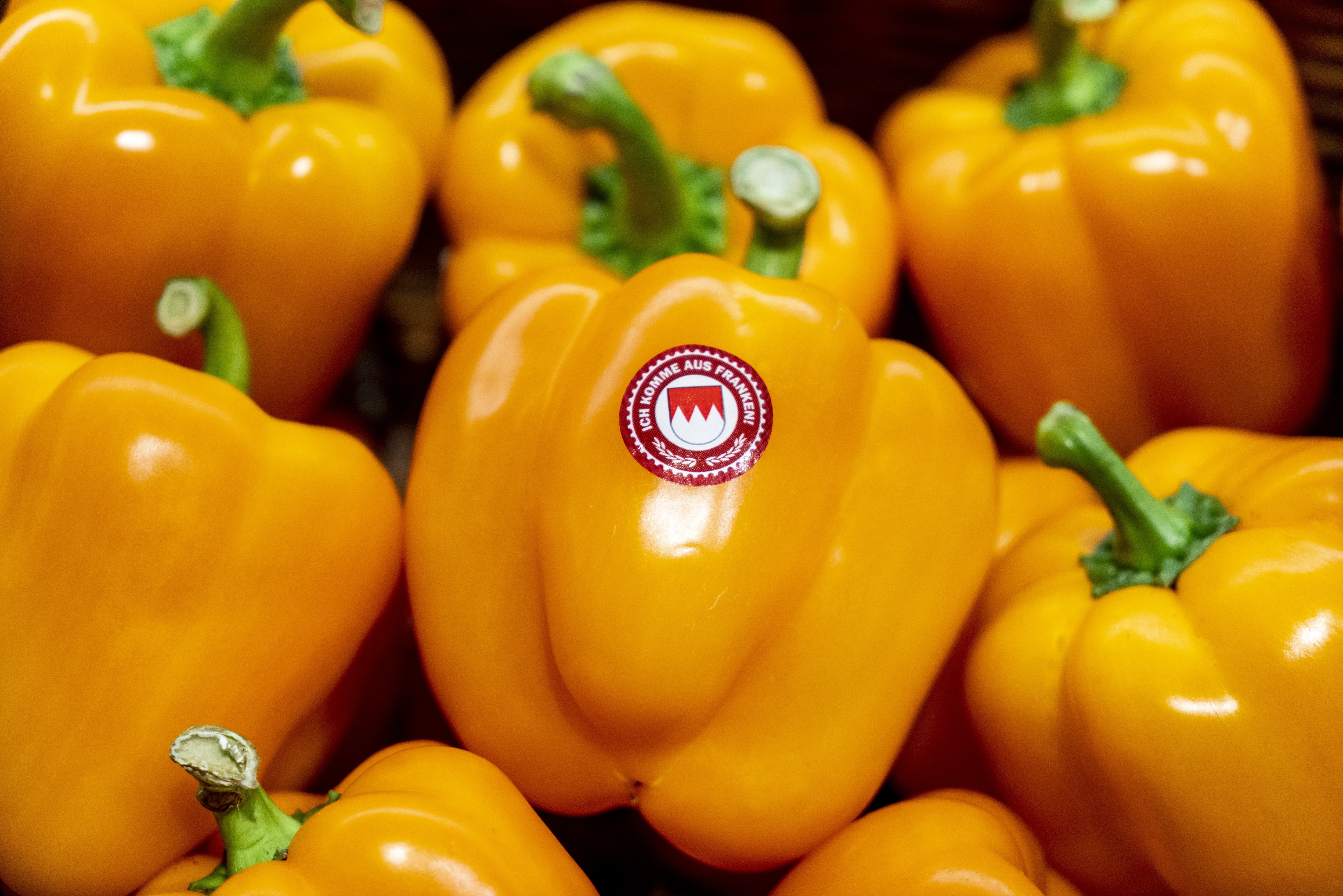 Paprika im Close-Up, orange.