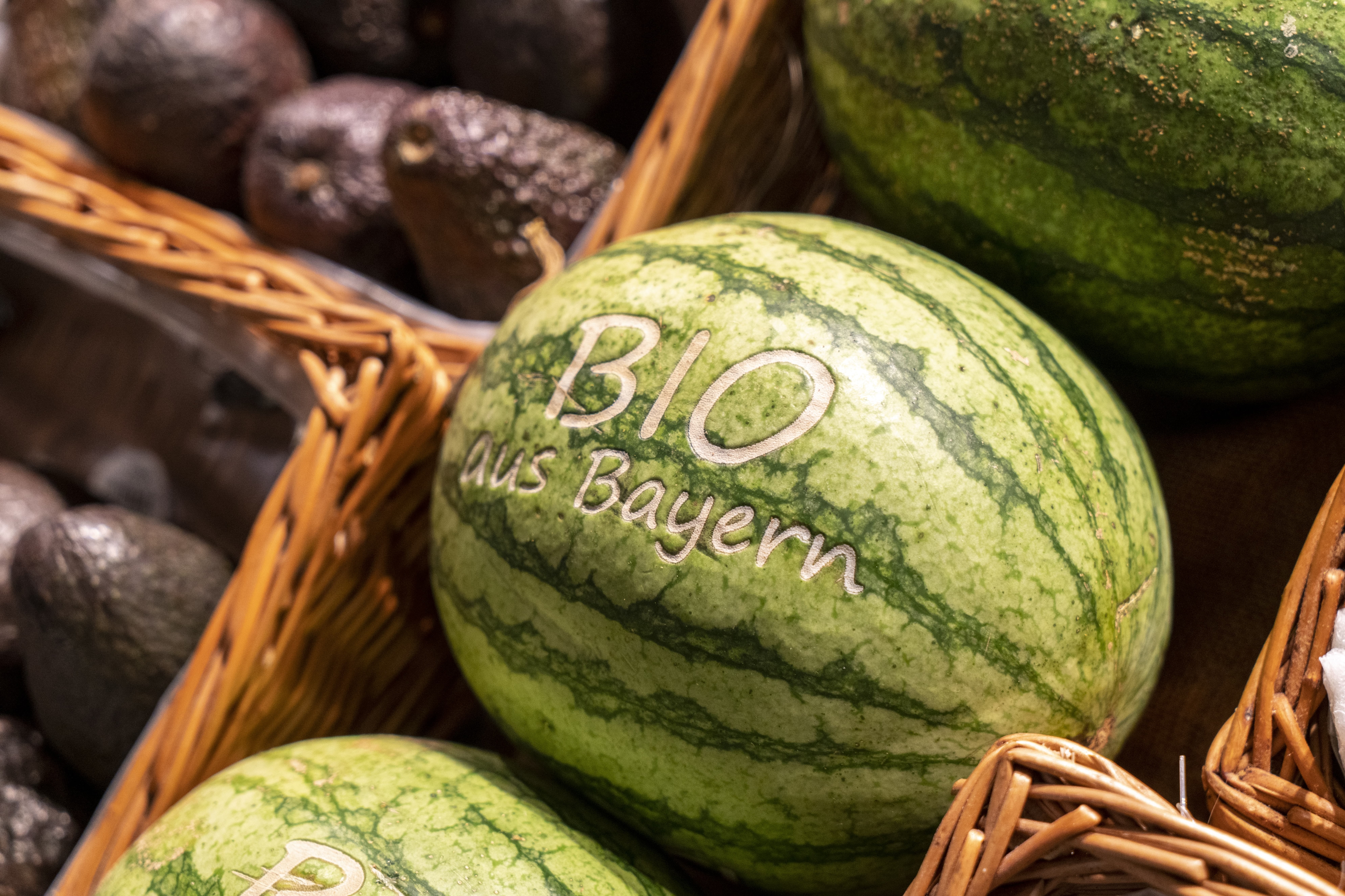 Eine Wassermelone im Close-Up, in die geprägt ist: BIO aus Bayern.