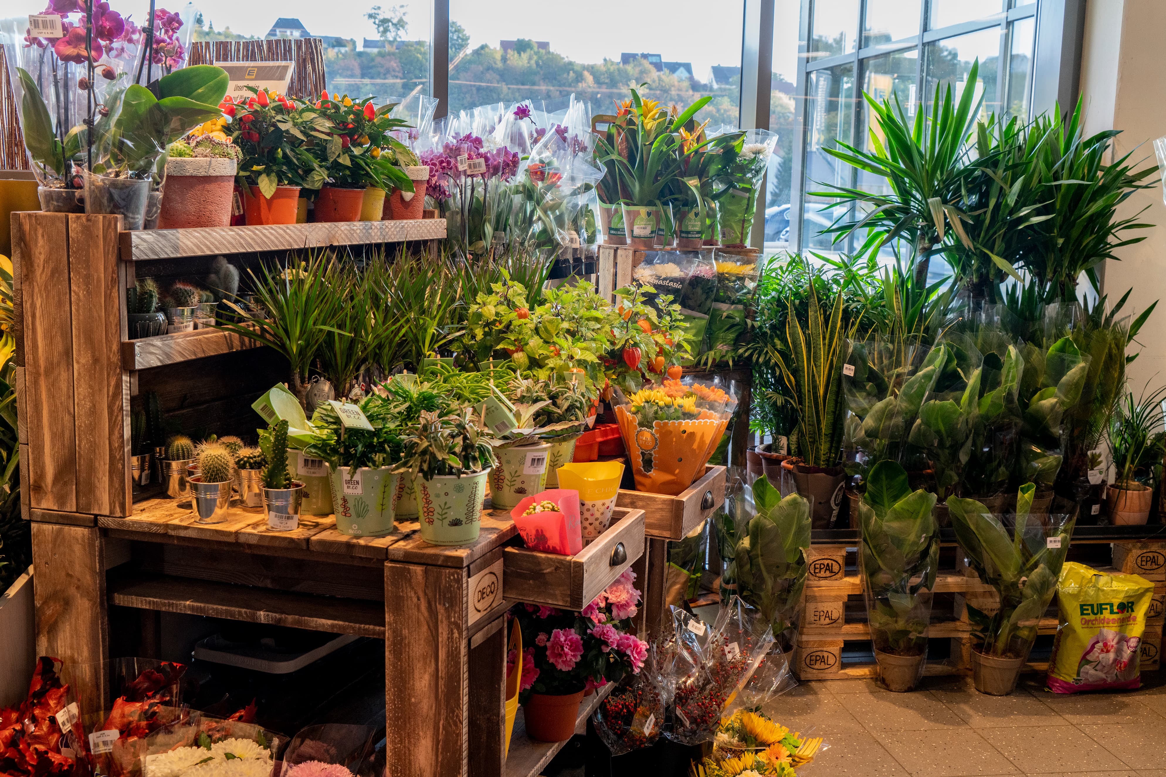 Die Blumenauslage eines EDEKA-Markts, bunt und vielfältig.