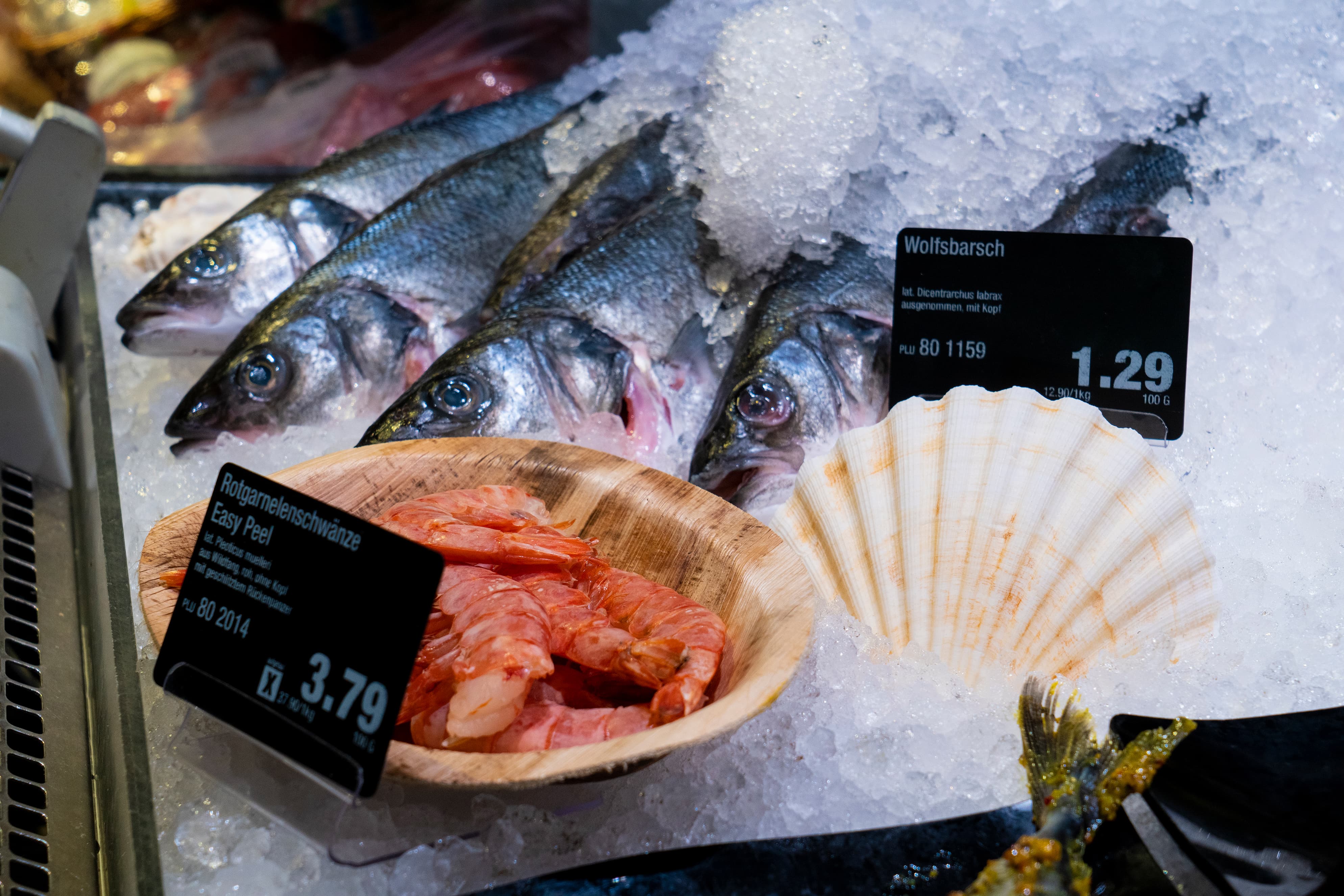 Fisch in einer Auslage im Close-Up, mit Preisschildern und einer Muschel als Deko.