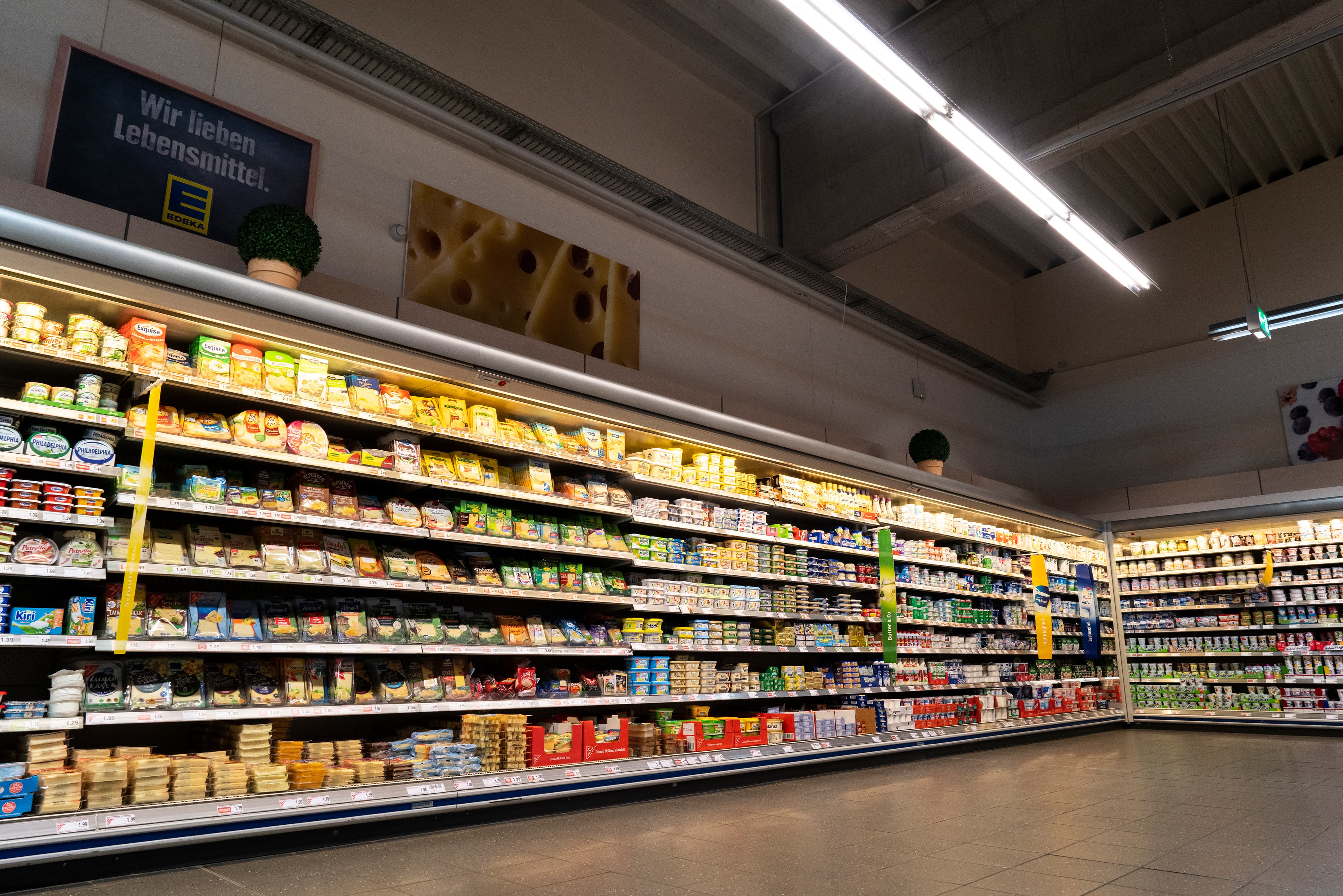 Endlose Kühlregale voller Molkereiprodukte.