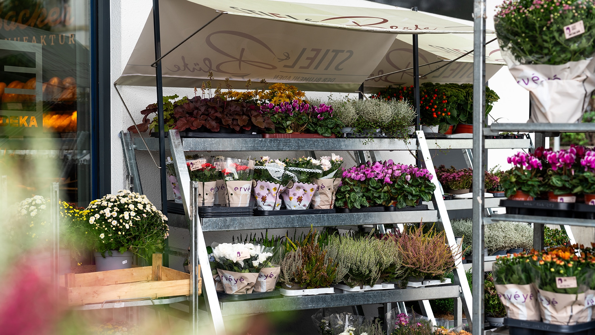 Am Markteingang steht ein Rollwagen mit unterschiedlichen Pflanzen von "Stiel und Blüte".