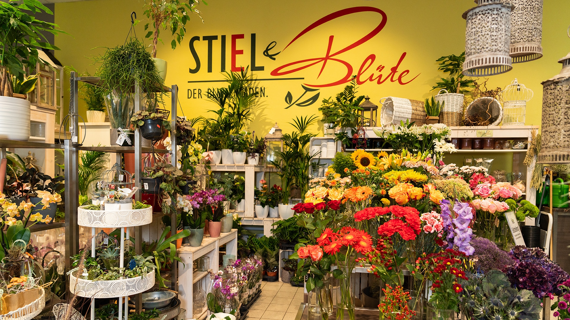 Im Markt ein integriertes Blumengeschäft von "Stiel und Blüte" mit großer Auswahl an Blumen und Pflanzen.