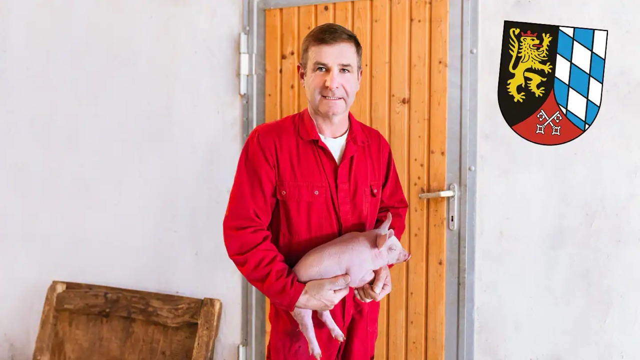 Ein Mann in roter Arbeitskleidung hält ein kleines Ferkel in seinen Händen.