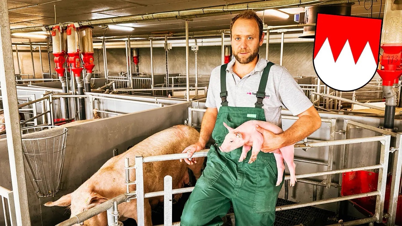 Ein Mann in grüner Arbeitskleidung steht in enem Schweinestall und hält ein kleines Ferkel in seinen Händen.