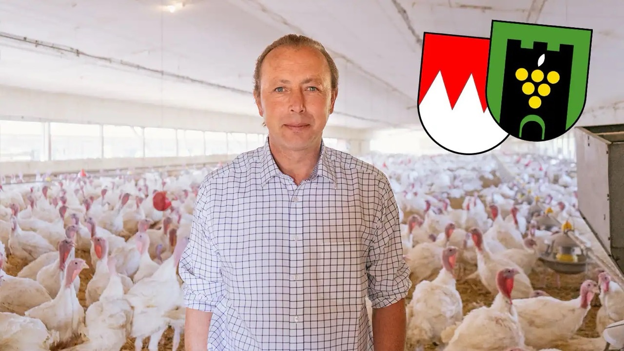 Ein Mann im Karohemd steht in einem voll besetzten Putenstall.