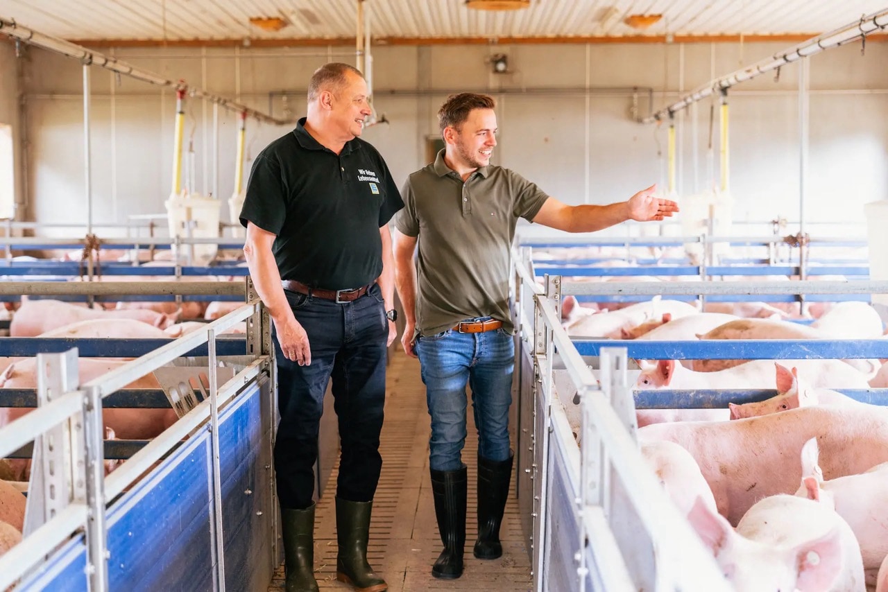 Zwei Männer besichtigen einen Schweinestall. Einer trägt ein grünes Poloshirt, einer ein schwarzes EDEKA-Poloshirt.