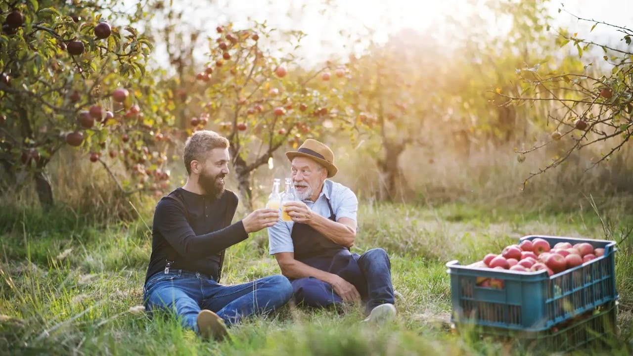 Zwei Männer sitzen im Gras zwischen Äpfelbäumen und stoßen mit einer kleinen Flasche Apfelsaft an. Neben ihnen stehen zwei große Kisten mit geernteten roten Äpfeln.