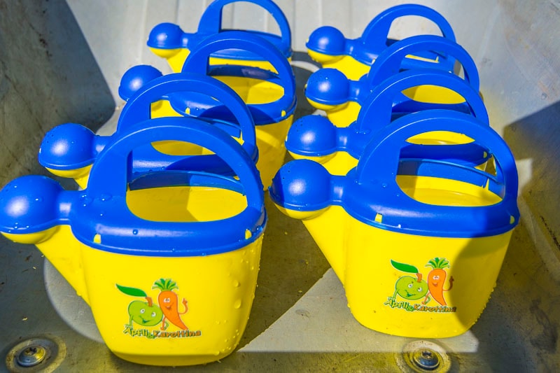 Acht kleine gelbe Gießkannen mit blauen Deckeln.