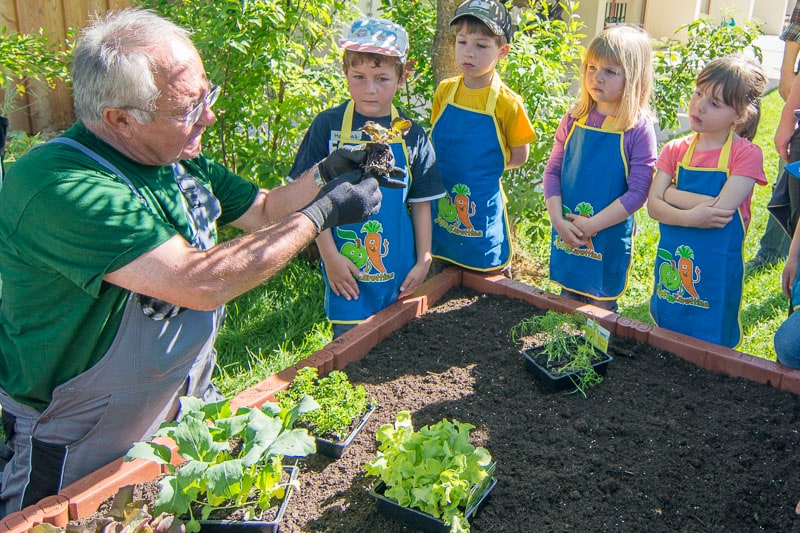 Ein älterer Herr in Arbeitskleidung steht mit vier jungen Kindern an einem Hochbeet. In der Hand hält er eine Pflanze. Die Kinder betrachten diese.