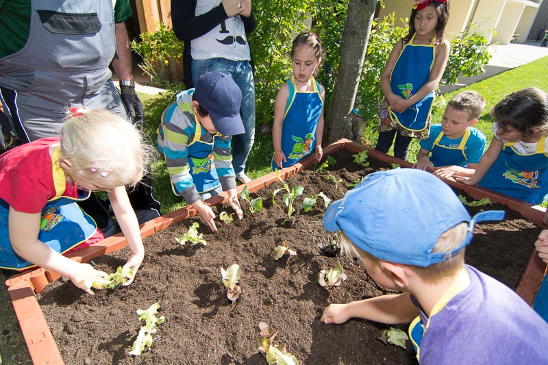 Sieben Kinder mit blauen Schürzen stehen an einem Hochbeet mit Erde und grünen Pflanzen.