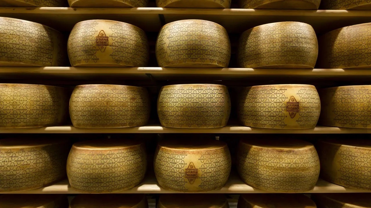 Regale mit Käselaiben.