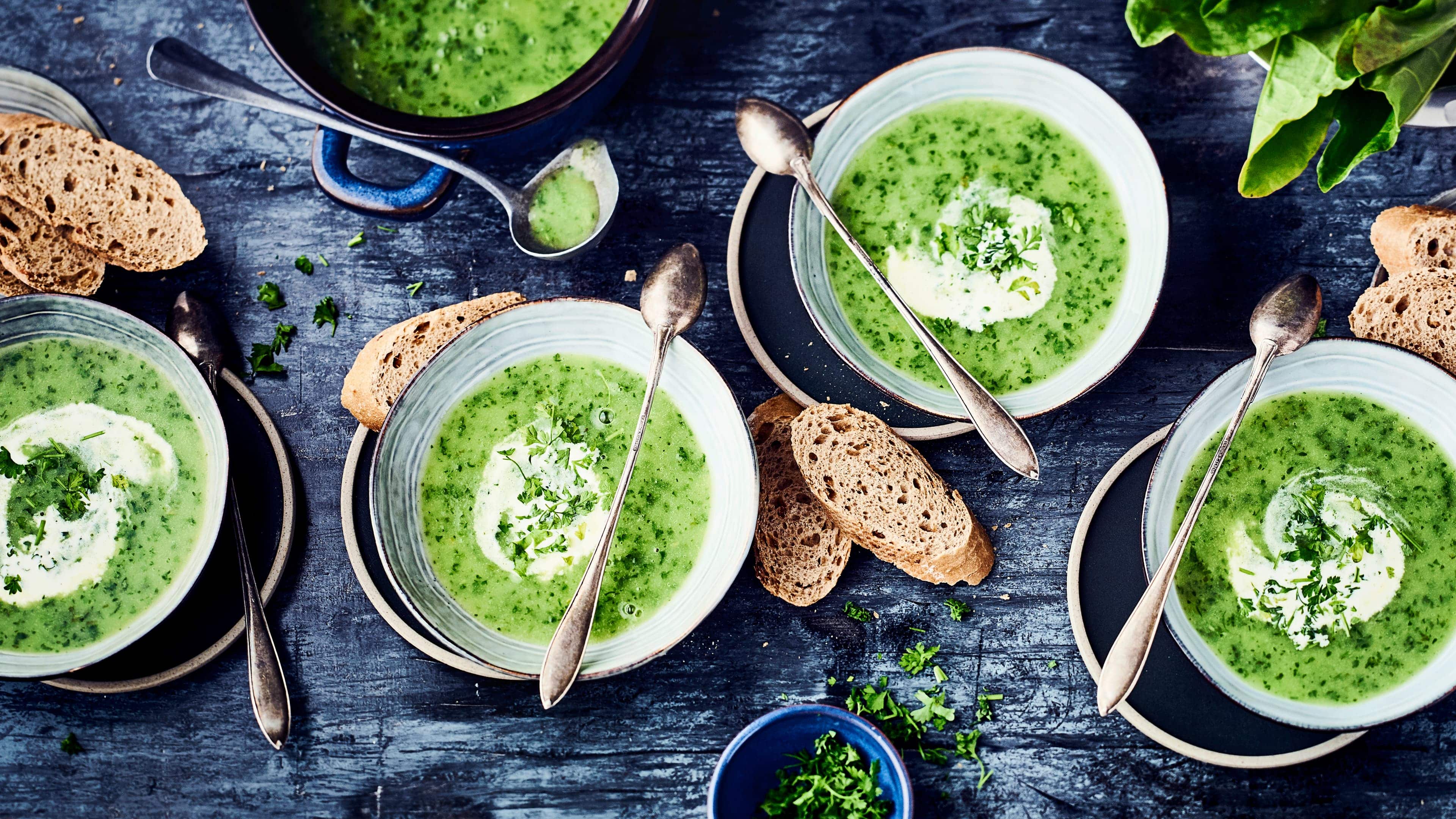 Sauerampfersuppe Sauerampfersuppe