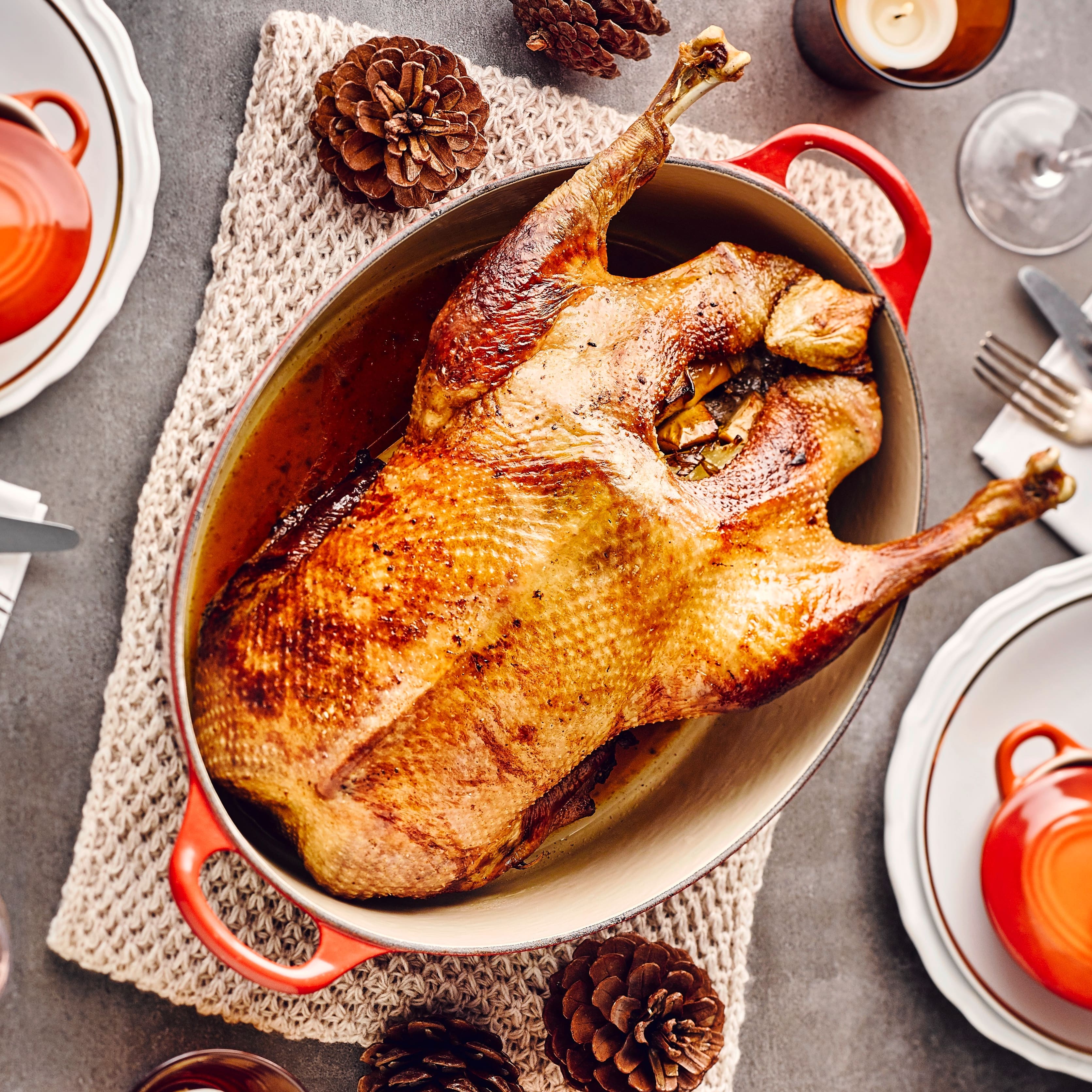 Eine knusprige Weihnachtsgans ist der kulinarische Höhepunkt des Familienfests. Wir geben grundlegende Tipps, wie der Braten gelingt, und stellen leckere Rezepte vor.