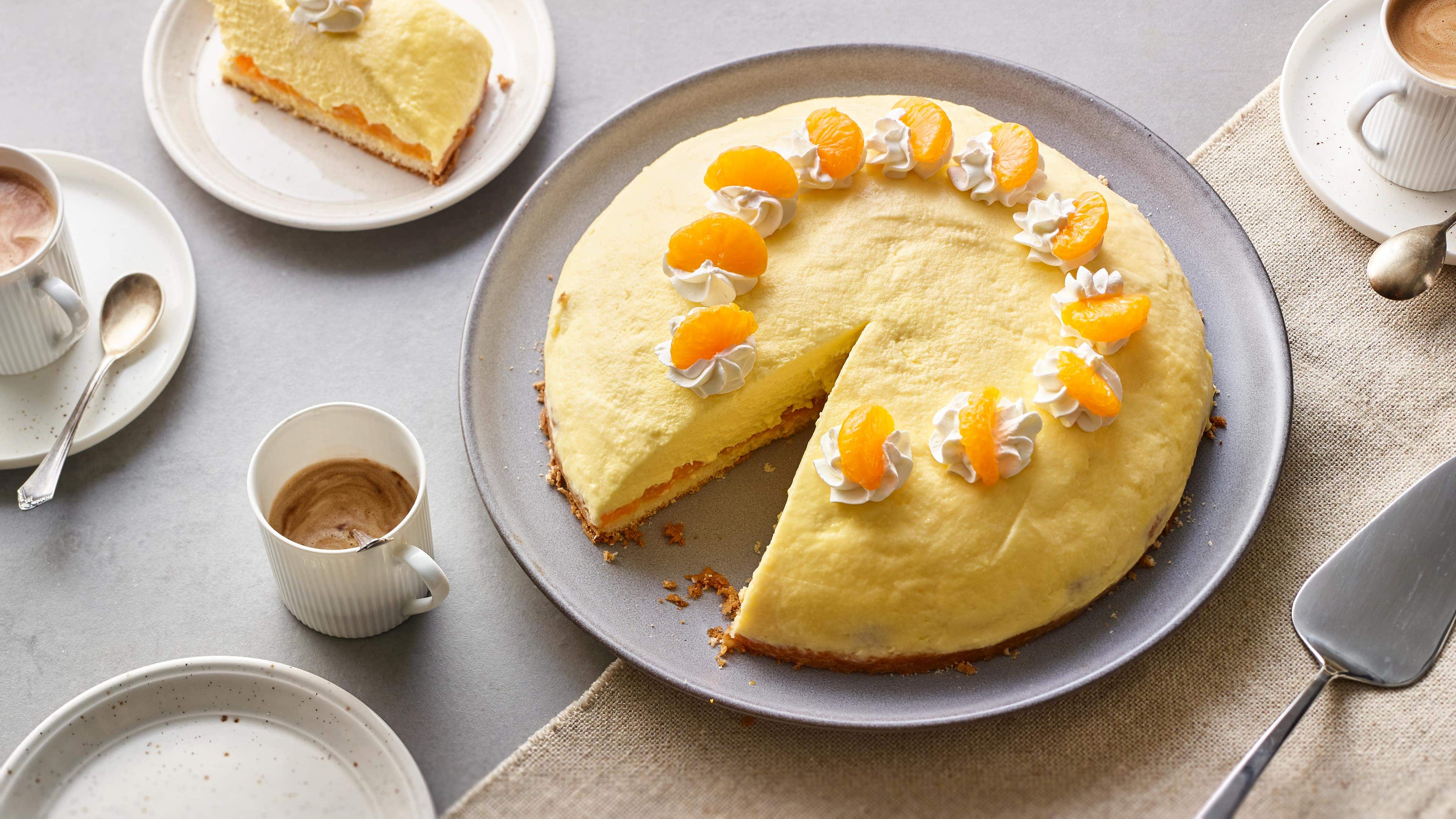 Schüttelkuchen Schüttelkuchen