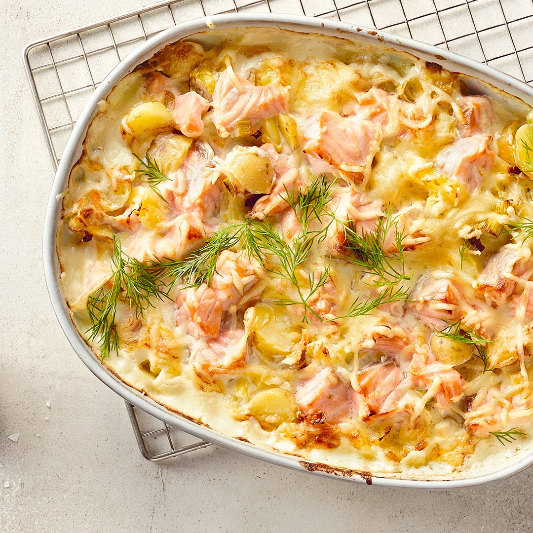 Eine Auflaufform gefüllt mit Lachs und Kartoffel in heller Soße, knusprig überbacken mit Käse, getoppt mit frischem Dill