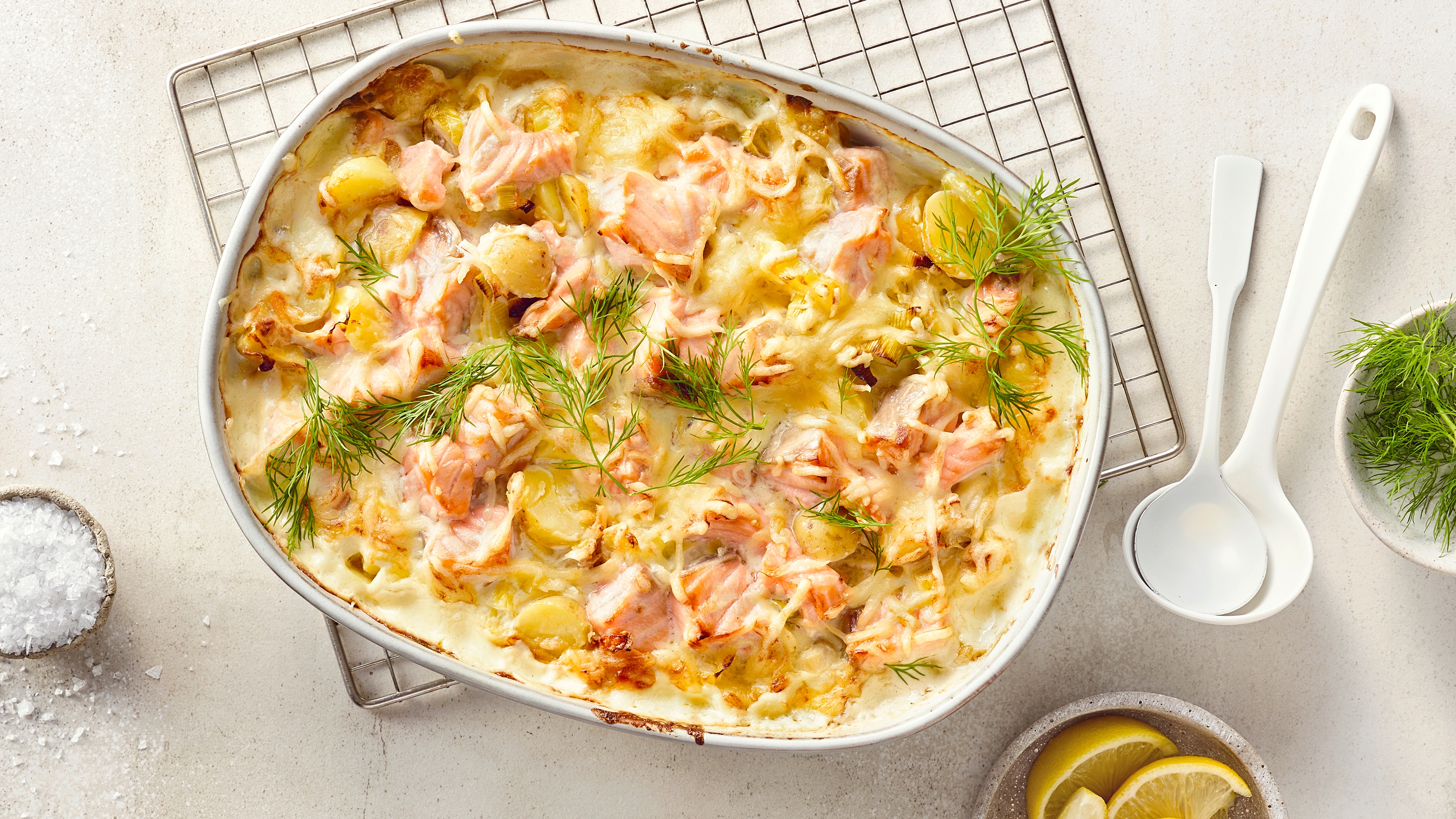 Rezept für Kartoffel-Lachs-Auflauf Eine Auflaufform gefüllt mit Lachs und Kartoffel in heller Soße, knusprig überbacken mit Käse, getoppt mit frischem Dill