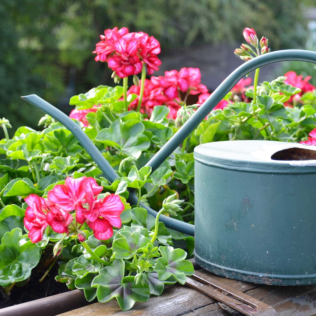 Eine Gießkanne aus Stahl an einem Blumenkasten auf dem Balkon.