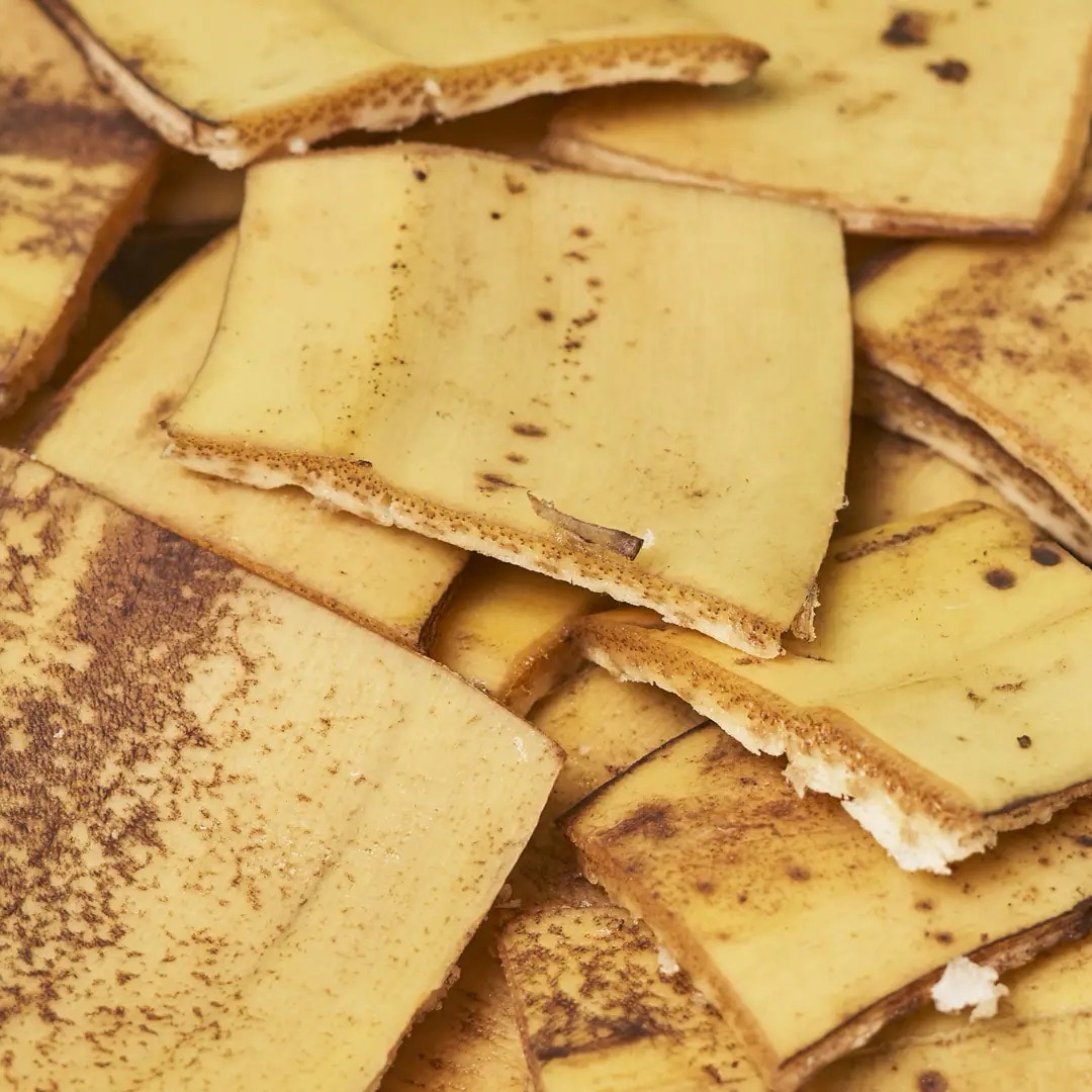 Alte Käsescheiben mit braunen Stellen.