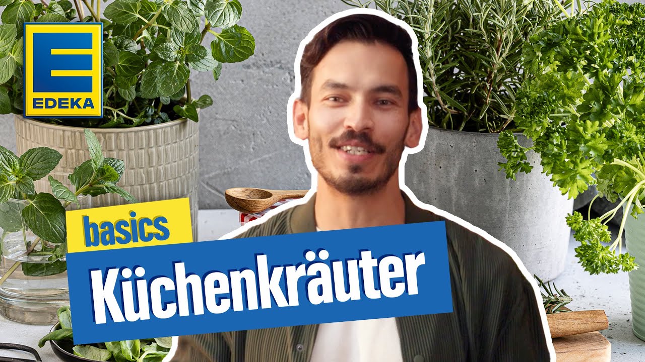 Küchenkräuter: Petersilie, Schnittlauch, Basilikum & Co. vom Fensterbrett