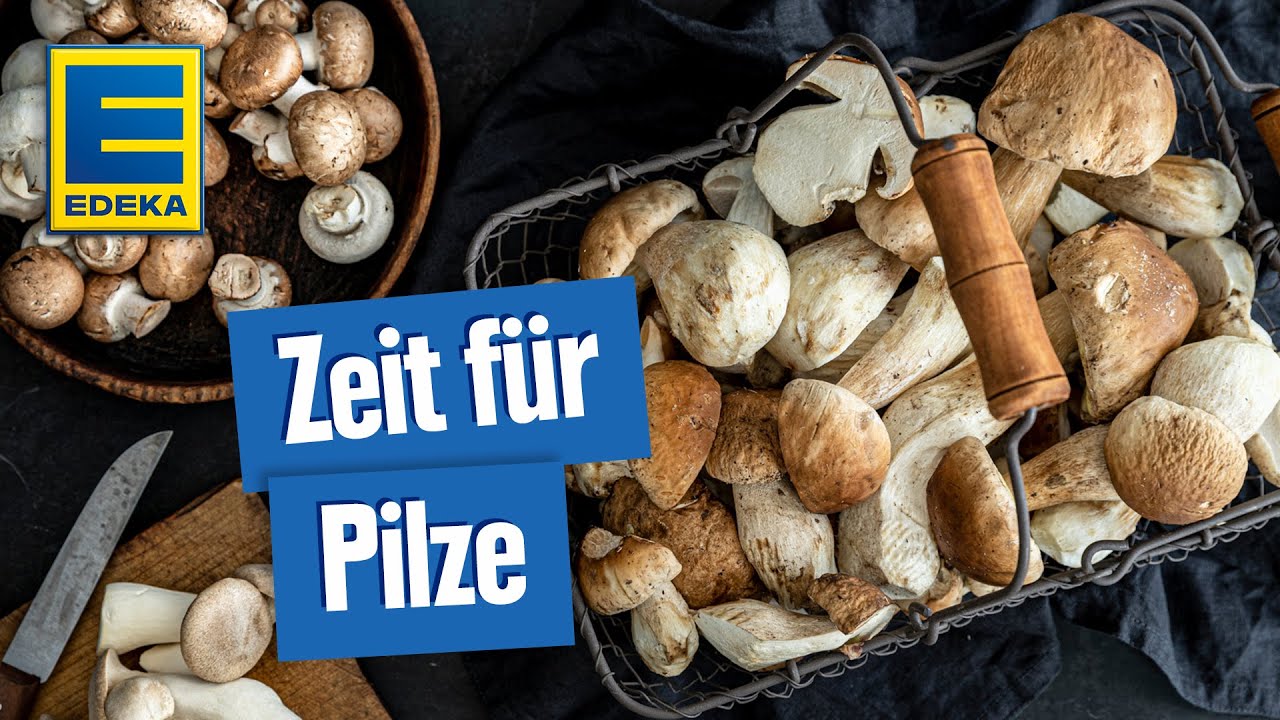 Pilz-Rezepte: herzhafte Gerichte vegetarisch und mit Fleisch genießen