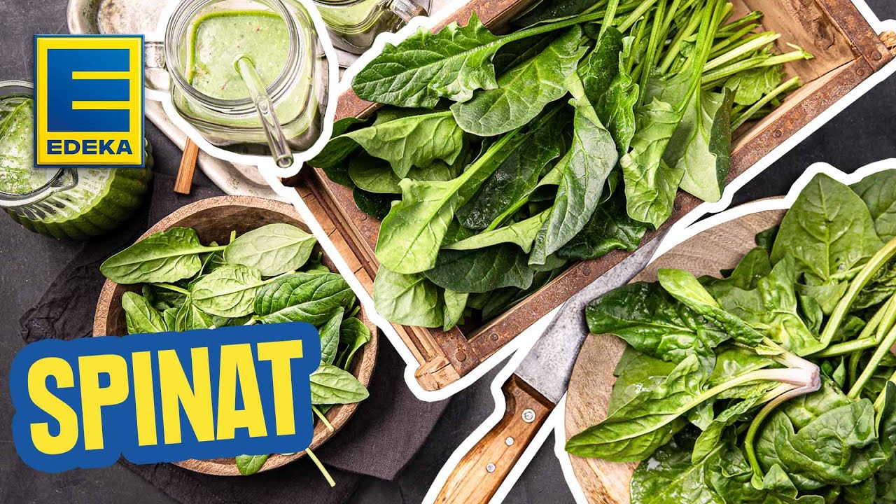 Spinat-Rezepte – grün, gesund und abwechslungsreich