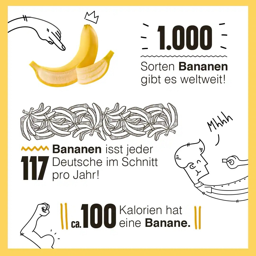 Grafik mit Text: 1.000 Sorten Bananen gibt es weltweit. 117 Bananen isst jeder Deutsche im Schnitt pro Jahr! ca. 100 Kalorien hat eine Banane.