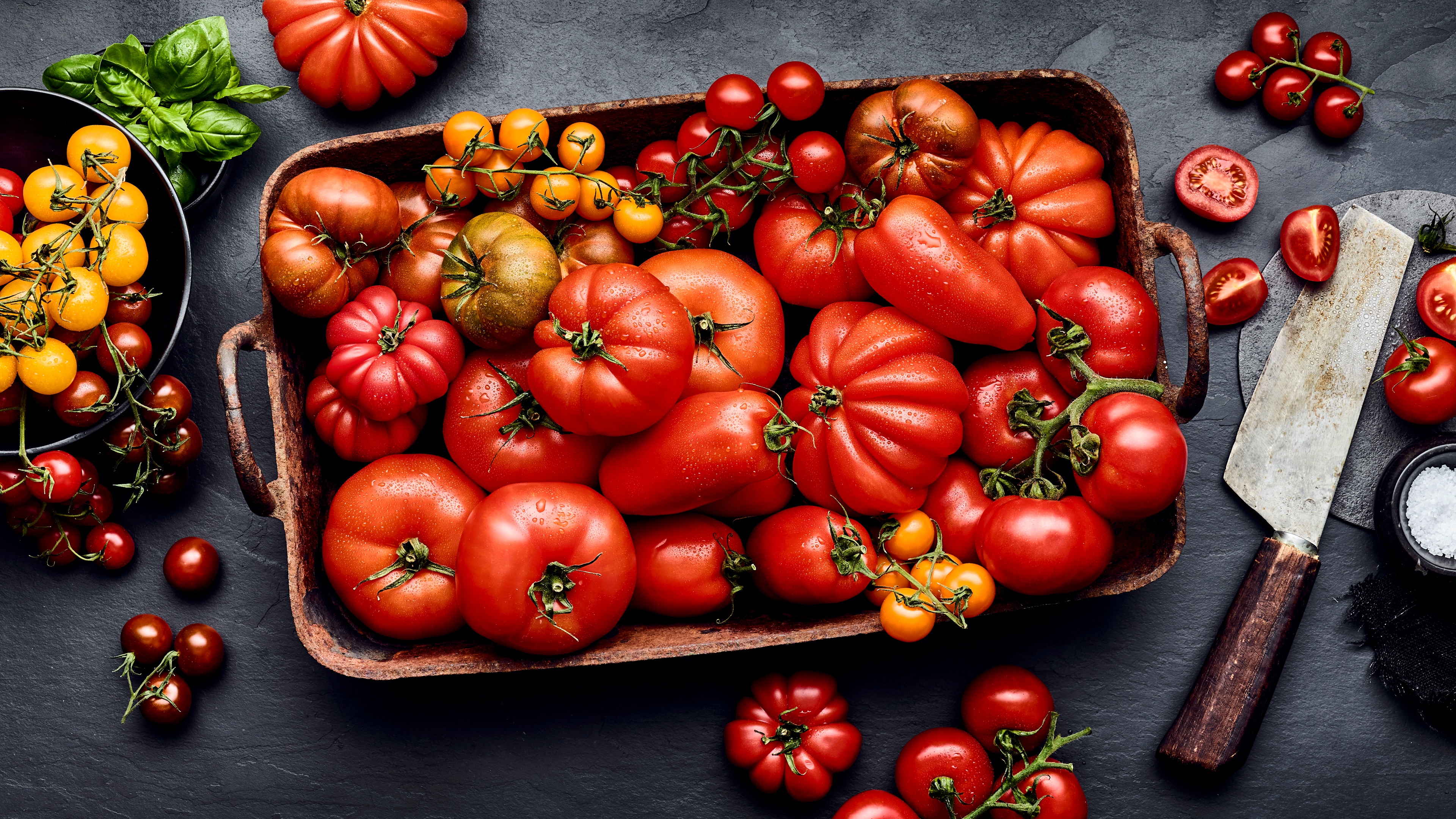 Unterschiede Tomatensorten